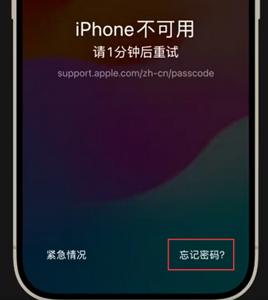 迪庆苹果手机密码维修分享iPhone忘记了刚设置的密码 