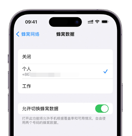 迪庆苹果维修服务分享如何在iPhone上使用双卡 